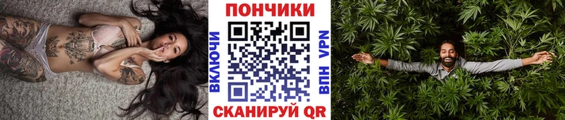Как найти наркотики Шенкурск Галлюциногенные грибы КОКАИН Гашиш МЕФ Конопля