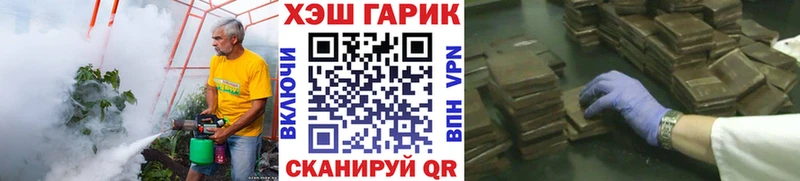 ГАШ VHQ  Шенкурск 