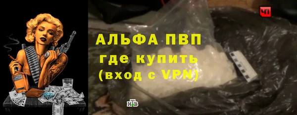 сатива Гусь-Хрустальный