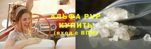 сатива Гусь-Хрустальный