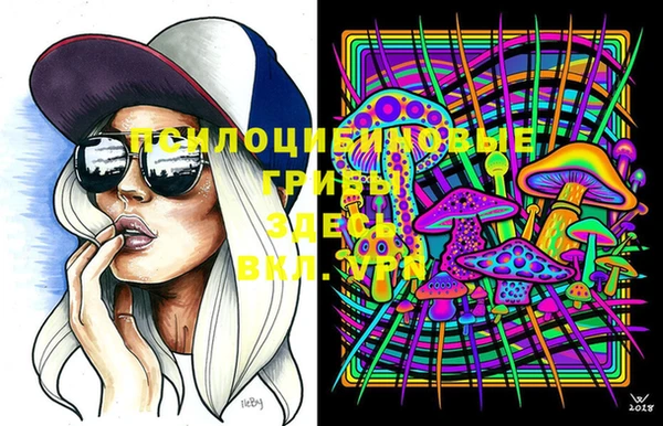 сатива Гусь-Хрустальный