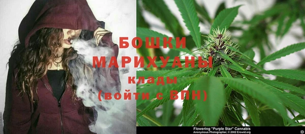 прущая мука Гусев