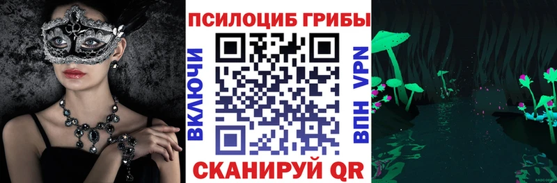 дарнет шоп  Шенкурск  Псилоцибиновые грибы GOLDEN TEACHER 