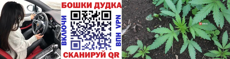 наркотики  Шенкурск  Конопля VHQ 
